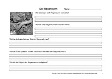 Regenwurm-Fragen-2.pdf